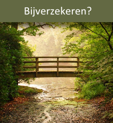 Bijverzekeren